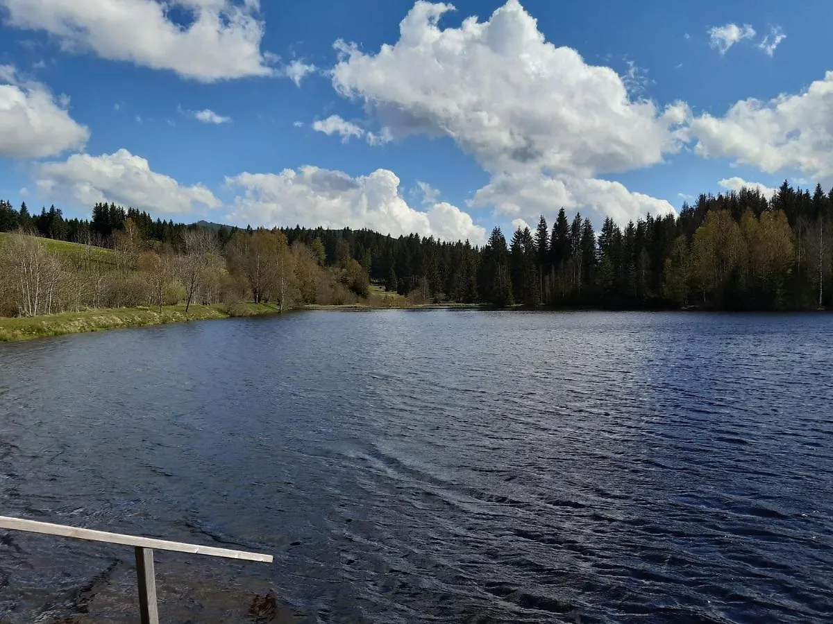 Ferienwohnung Am See Haidmühle 0*,  Německo