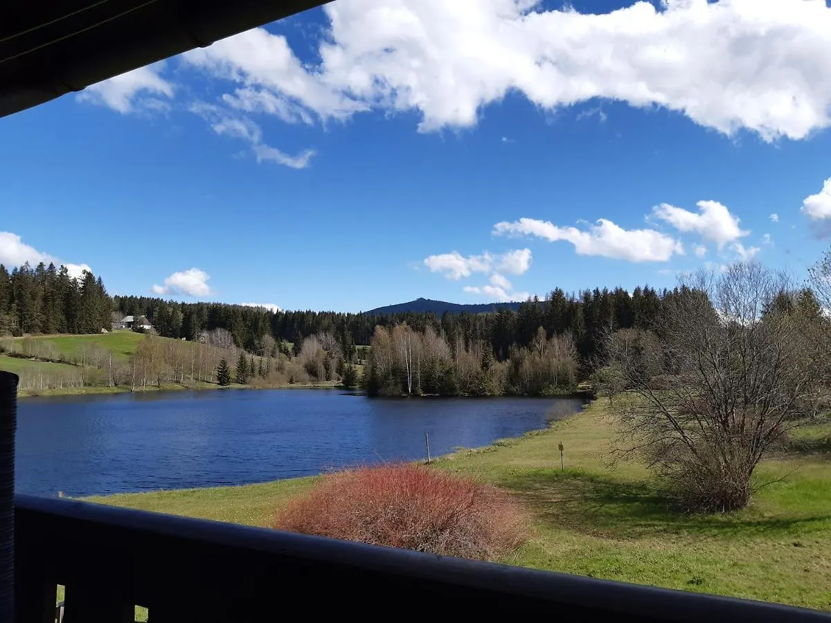 Apartmán Ferienwohnung Am See Haidmühle Německo